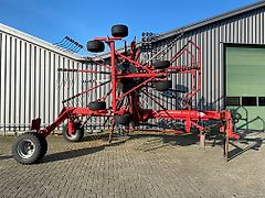 Lely hibiscus 915
