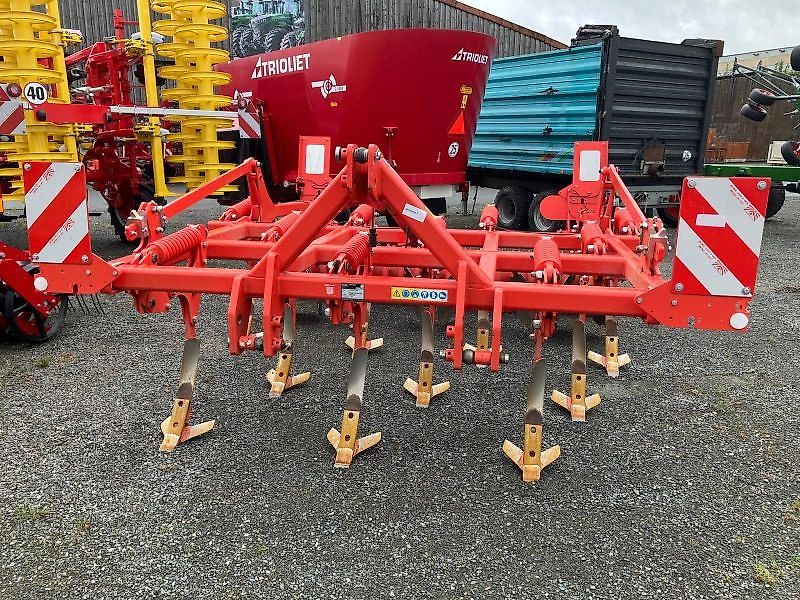 Maschio TERREMOTO 3 300