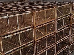 SUCHE DDR Kartoffelkisten | Gitterbox | Kiste | 1,5to | GEBRAUCHT