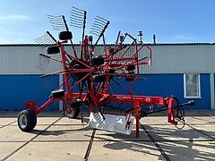 Lely Lely hibiscus CD915 Hark