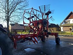 Lely Hibiscus 805 CD