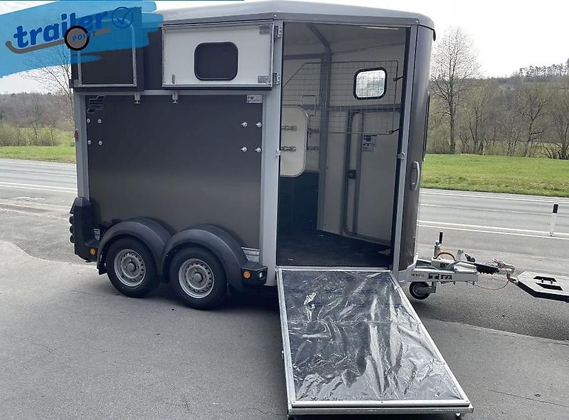 Ifor Williams Pferdeanhänger - HB506 mit Rampe- Türen Kombi