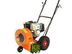 Eliet BL #90978