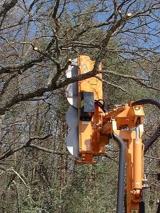 Sonstige Hedgecutter with circular saws,cutterbar,rotary knifes