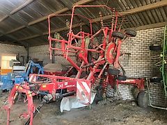 Lely Hibiscus 725