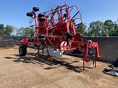 Lely hark Hibiscus 1015