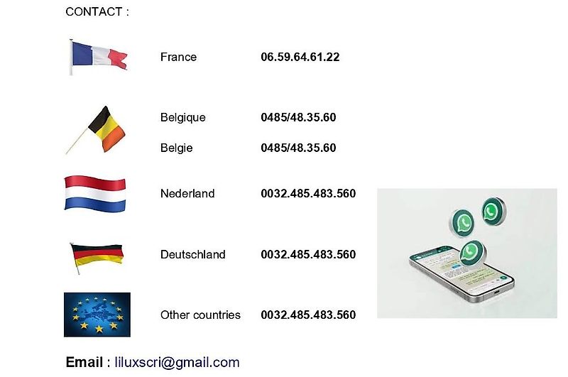 Fendt 724 vario Gen 6 Profiplus Setting2