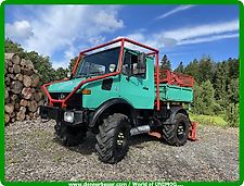 Mercedes-Benz Unimog U1000 mit Forstausrüstung , Antausch möglich