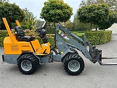 Giant D262S