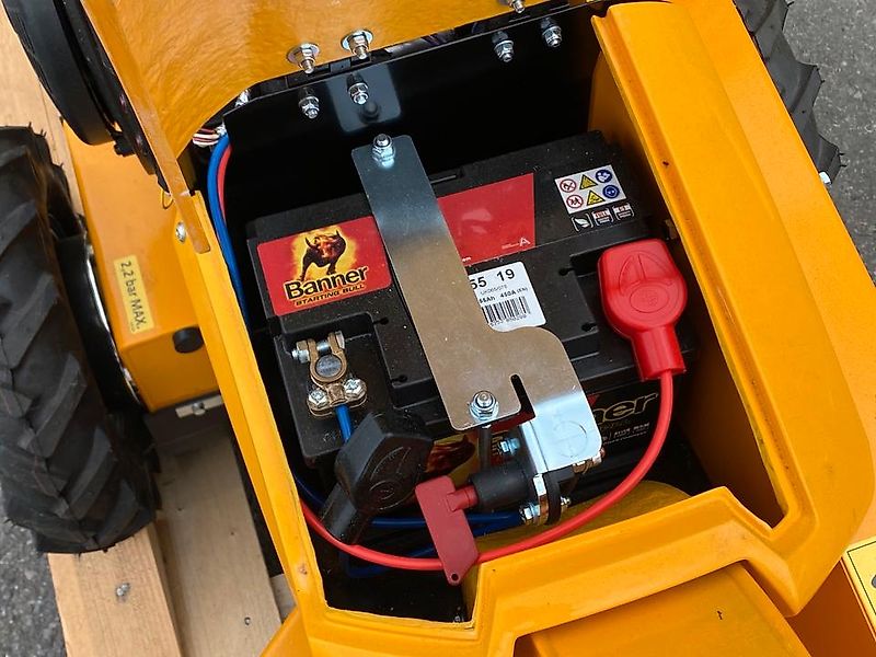 Laski Stubbenfräse Stockfräse Baumstumpffräse Wurzelstockfräse