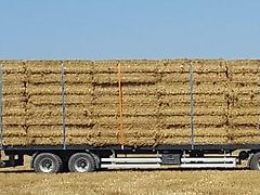 WIELTON PRS 24
